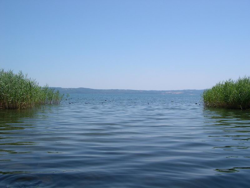 Laghi....del LAZIO